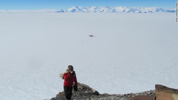 Cuộc truy tìm khu rừng 280 triệu năm trước ở Nam Cực