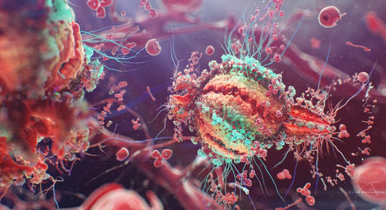 Đã có thể phát hiện tế bào T nhiễm HIV đang ngủ đông, mở ra hy vọng trị tận gốc