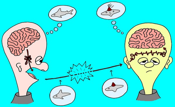 Đây chính là lý do khiến 99% phụ nữ sau sinh bị biến thành người mất não