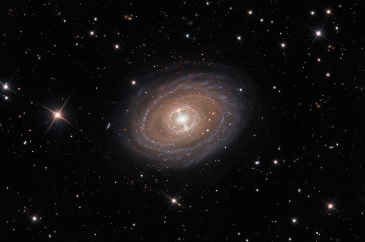 Đây là khoảnh khắc đẹp trọn vẹn nhất của thiên hà NGC 1398