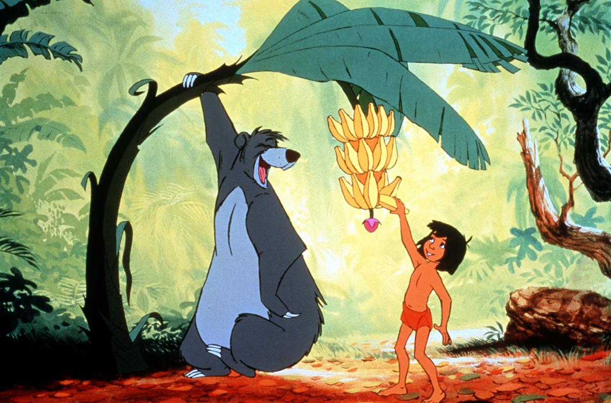 Đi tìm phiên bản đời thực của những loài động vật trong Cậu bé rừng xanh The Jungle Book