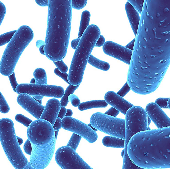 Điểm danh những loại vi khuẩn cực có lợi cho con người