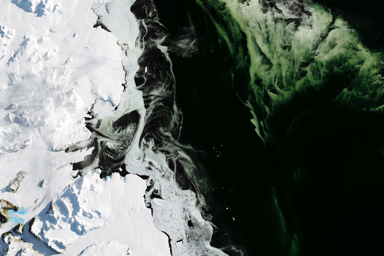 Điều bí ẩn nào khiến cho lớp băng ở Nam Cực có màu xanh?