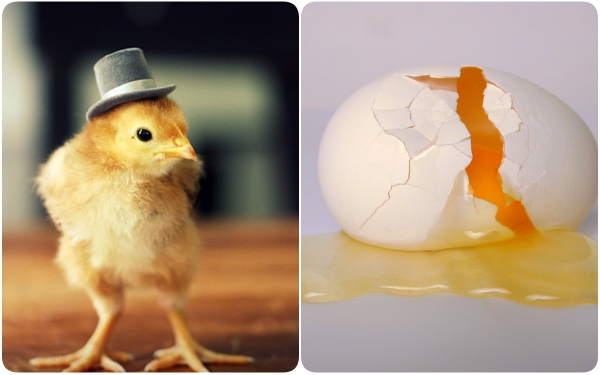 Điều ít người biết về số trứng gà chúng ta vẫn ăn hàng ngày