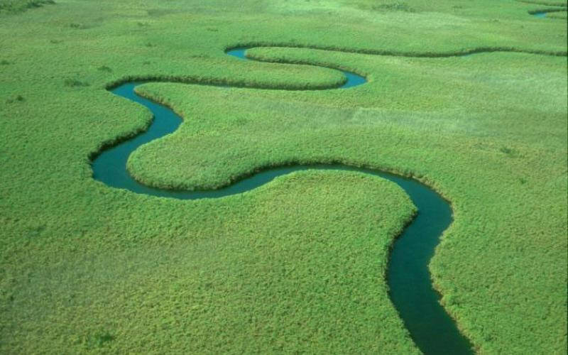 Đồng bằng Okavango - Di sản thiên nhiên thế giới tại Botswana