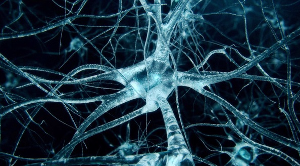 Đột phá: Tìm ra phương pháp thay não để điều trị các bệnh về thần kinh