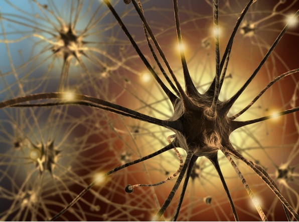 Đột phá: Tìm ra phương pháp thay não để điều trị các bệnh về thần kinh
