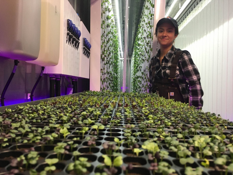 Dự án trồng rau trong container giữa lòng New York của em trai Elon Musk