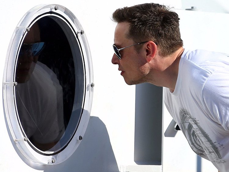 Elon Musk khẳng định AI sẽ biến loài người tương lai giống như vật nuôi trong nhà