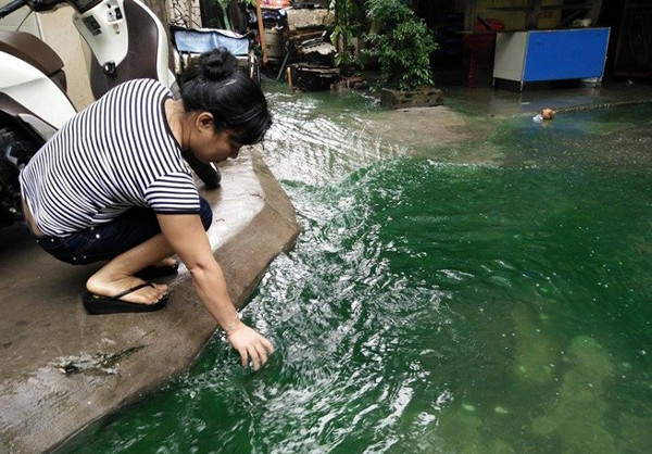 Giải mã nguyên nhân nước ngập chuyển màu xanh ở Hà Nội