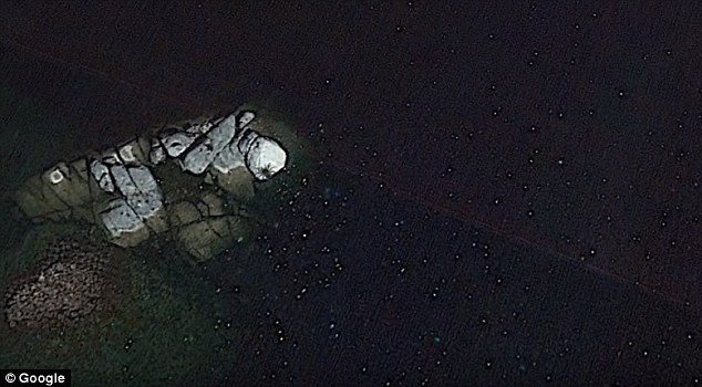 Google Earth phát hiện sinh vật khổng lồ ở ngoài khơi Mexico