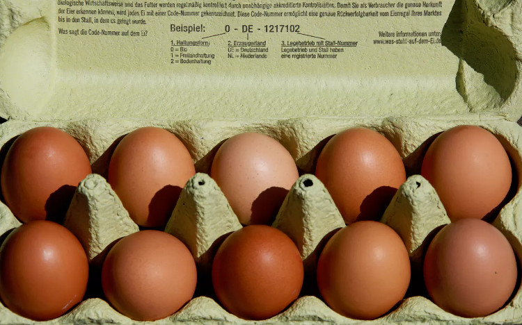 Hà Lan thu hồi nhiều triệu quả trứng gà nhiễm độc