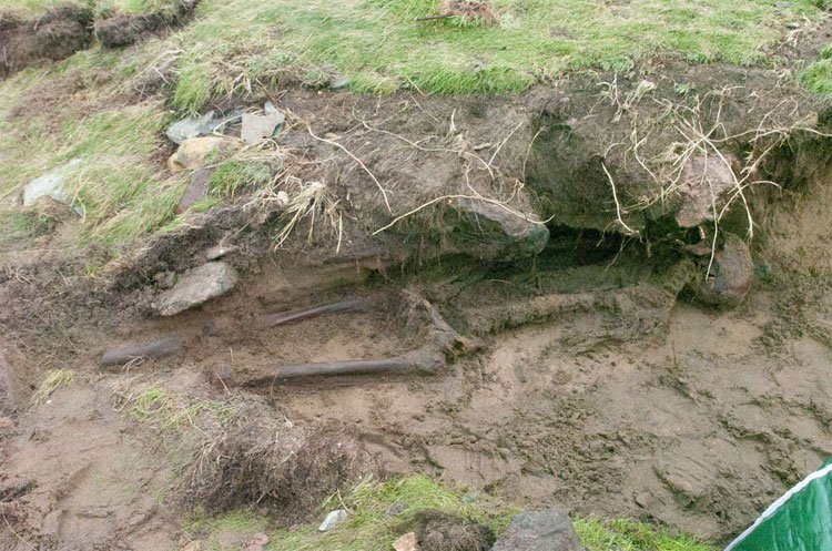 Hài cốt nghìn năm còn nguyên da phát lộ sau bão ở Ireland
