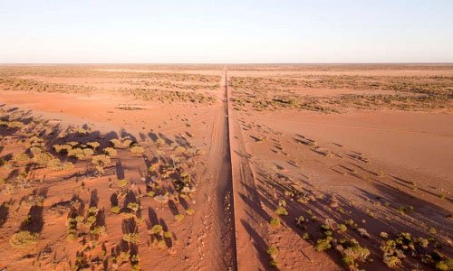 Hàng rào dài nhất thế giới phân đôi sa mạc Australia