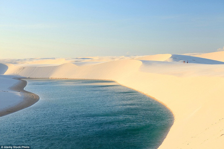 Hiện tượng sa mạc biến thành nghìn hồ bơi xanh biếc