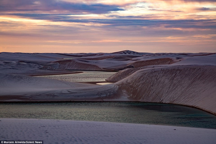Hiện tượng sa mạc biến thành nghìn hồ bơi xanh biếc