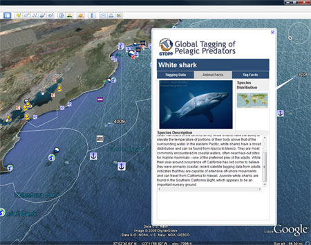 Hình ảnh đại dương kỳ thú trên Google Earth