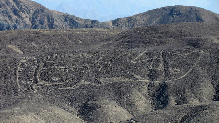 Hình vẽ cá voi sát thủ dài 70 mét trên sa mạc Peru