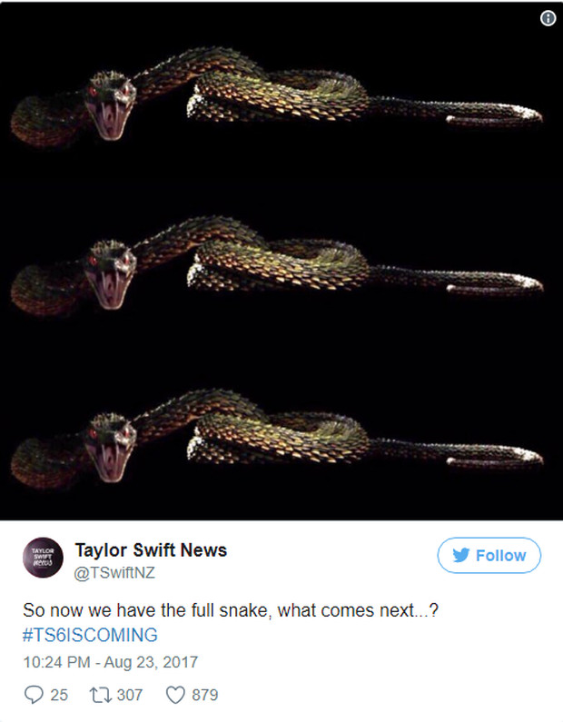 Hóa ra loài rắn trong bản hit của Taylor Swift không hề tầm thường chút nào