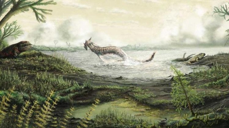 Hóa thạch động vật đầu tiên đi lại trên đất liền