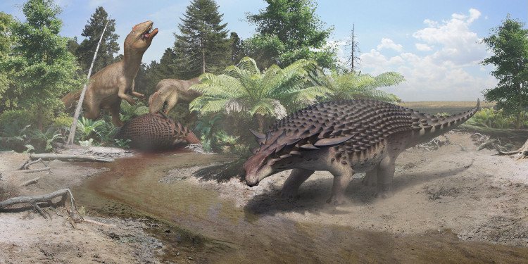 Hóa thạch nguyên vẹn sau 110 triệu năm của khủng long bọc giáp