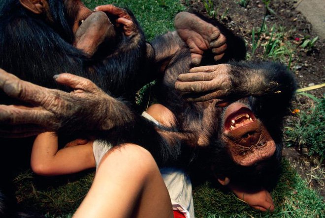 Hỏi lạ: Động vật có biết cười như con người không?