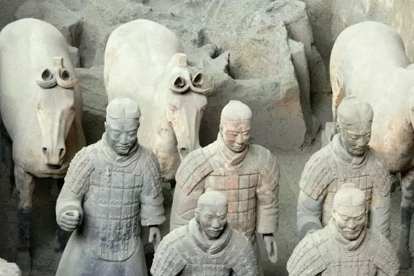 Khai quật lăng mộ Tần Thủy Hoàng, phát hiện cả thế giới động vật ở bên trong
