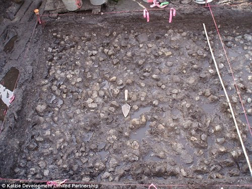 Khai quật vườn khoai tây 3800 năm tuổi