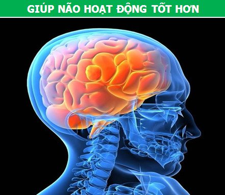 Khoa học “giải mã” những tác dụng thần kỳ của việc nghe nhạc cổ điển