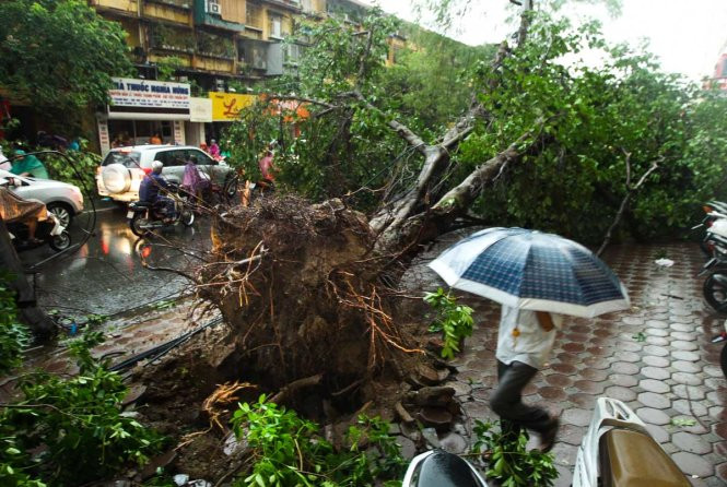 Kỹ năng an toàn khi xảy ra giông bão