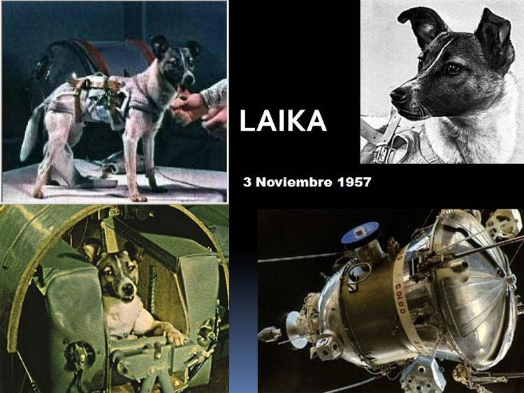 Kỷ niệm 60 năm Sputnik 1: Quá khứ huy hoàng của người Nga