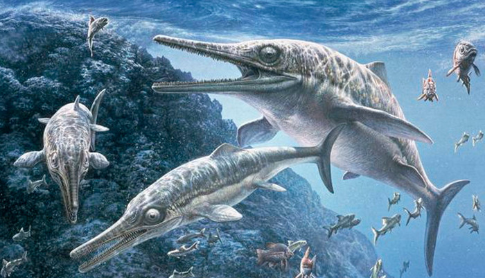 Làm sao để biết hình dạng thực của khủng long khi chúng tuyệt chủng hàng trăm triệu năm?
