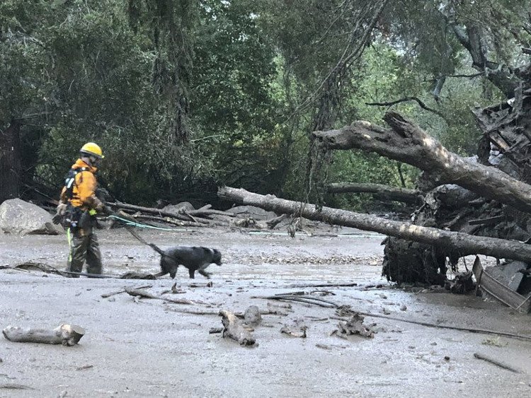 Lở bùn từ thảm họa cháy rừng ở California, 13 người thiệt mạng