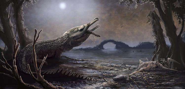 Loài cá sấu cổ đại có thể cắn nát rùa biển bằng một cú đớp
