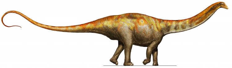 Loài vật đẩy lui khủng long ăn thịt chỉ bằng cú quật đuôi