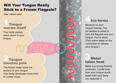 Lưỡi của bạn sẽ bị dính chặt vào kim loại lạnh
