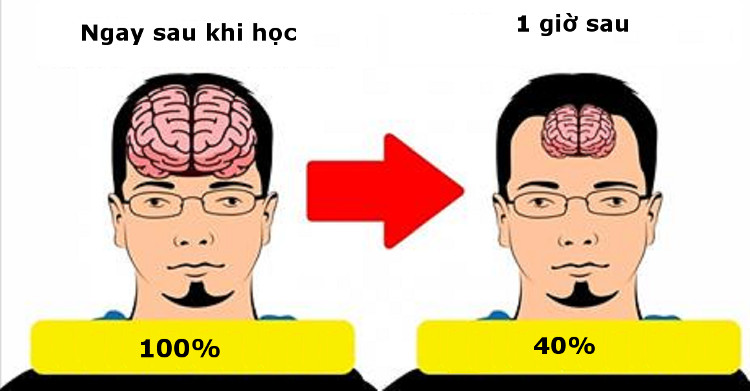 Lý do chúng ta luôn học trước quên sau và bí kíp để ghi nhớ siêu như máy tính