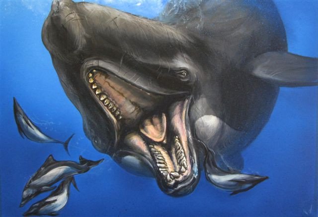Lý do khó đỡ khiến cá mập Megalodon tuyệt chủng
