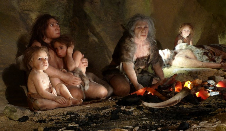 Lý do tổ tiên loài người từ bỏ việc ăn thịt đồng loại