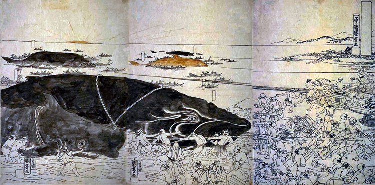 Ma cá voi Bake-Kujira - huyền thoại của Nhật Bản hay lời nguyền có thật?