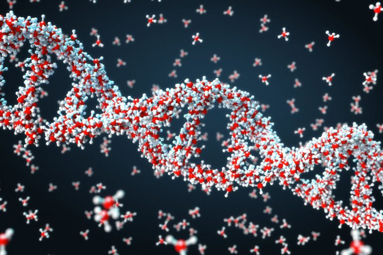 Microsoft mua hàng triệu sợi ADN để lưu trữ dữ liệu
