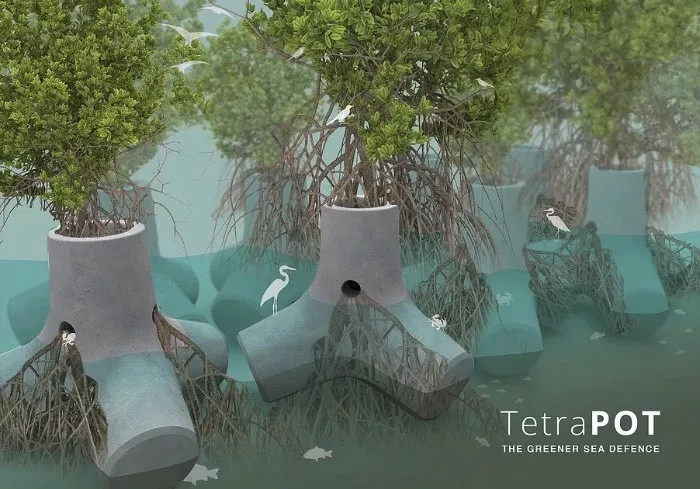 Một nhà thiết kế vừa tìm ra cách biến trụ chắn sóng thành rừng ngập mặn