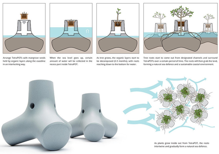 Một nhà thiết kế vừa tìm ra cách biến trụ chắn sóng thành rừng ngập mặn