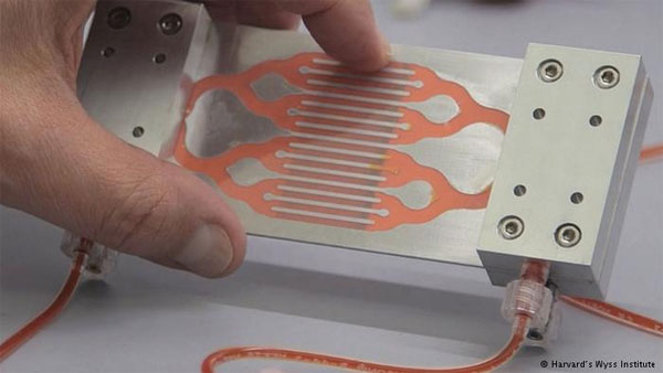 Mỹ phát minh ra thiết bị có khả năng hút sạch Ebola