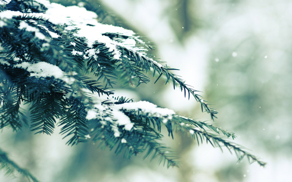 Ngắm những hình ảnh tuyết rơi mùa đông đẹp nhất trên khắp thế giới