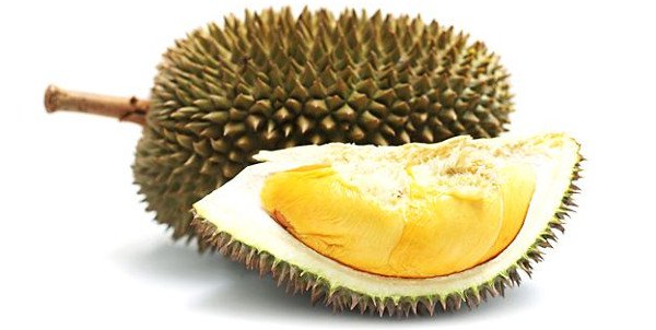 Nguồn gốc mùi hương độc đáo của quả sầu riêng từ đâu mà có?