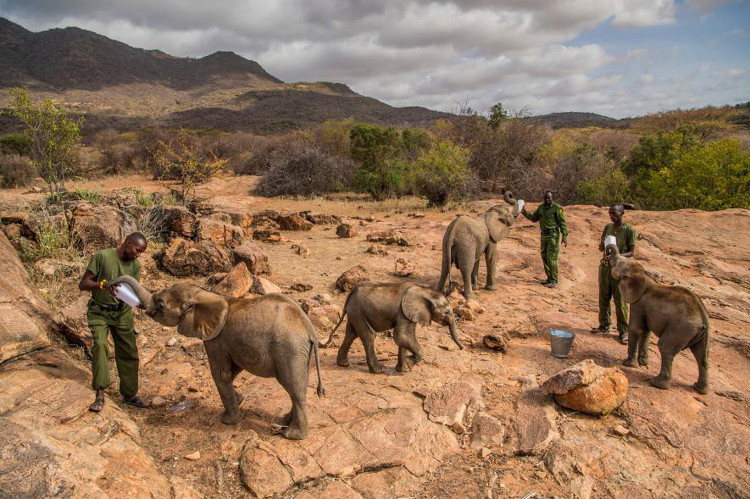 Những bức ảnh xuất sắc nhất của NatGeo năm 2017