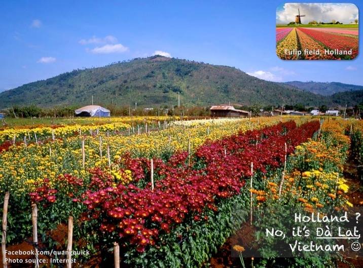 Những cảnh đẹp Việt Nam cứ ngỡ như ở nước ngoài