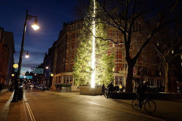 Những cây thông Noel “độc” nhất Giáng sinh 2016