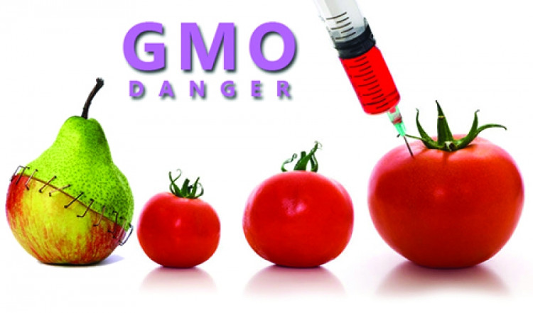 Những điều bạn nên biết về thực phẩm biến đổi gene GMO